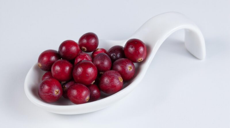 체내 염증 반응 완화… 크랜베리의 폴리페놀